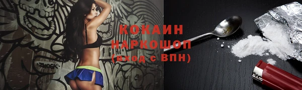 a pvp Алзамай
