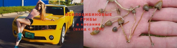a pvp Алзамай