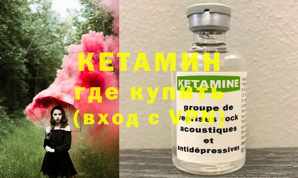 шишки Новозыбков