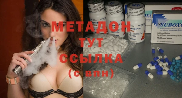 шишки Новодвинск